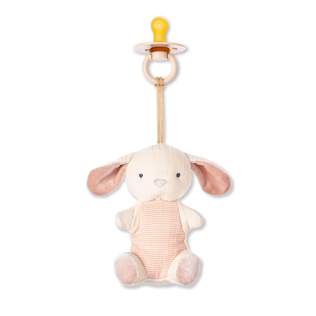 Pacifier and Plush- Bunny